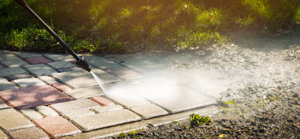 Best Driveway Pressure Washing  in Hale Center, TX