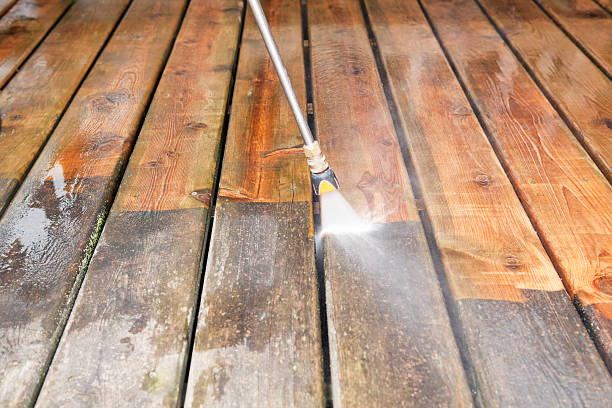 Best Fence Cleaning  in Hale Center, TX